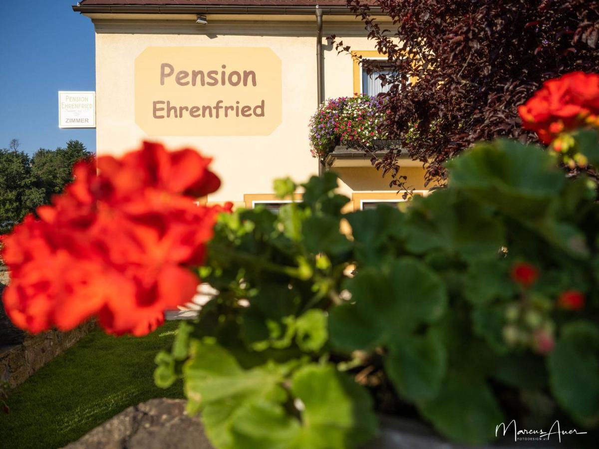 Pension Ehrenfried - Hotel Garni Kindberg Esterno foto