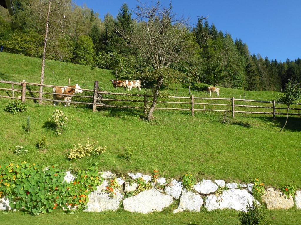 Pension Ehrenfried - Hotel Garni Kindberg Esterno foto